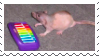 A rat in front of a xylophone.